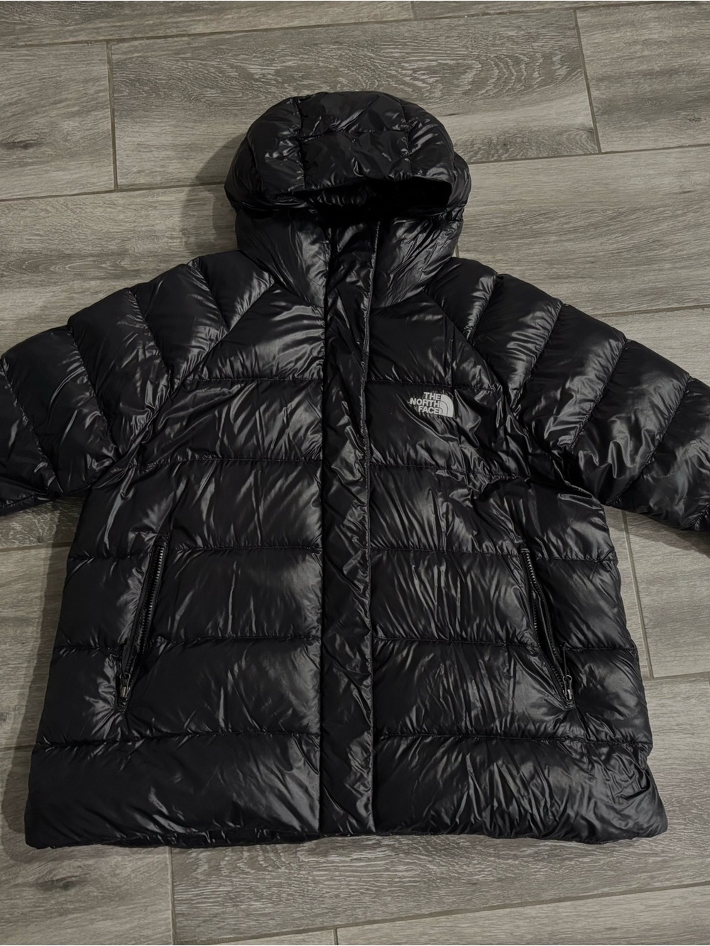 The North Face Black Down Puffer Hydrenalite Hooded Jacket